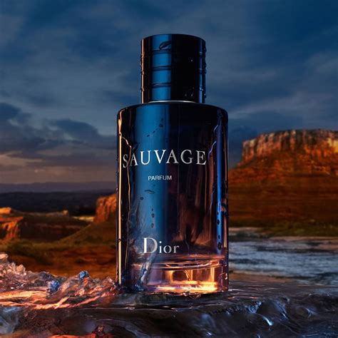 dior sauvage edp sample|dior sauvage cheapest price 100ml.